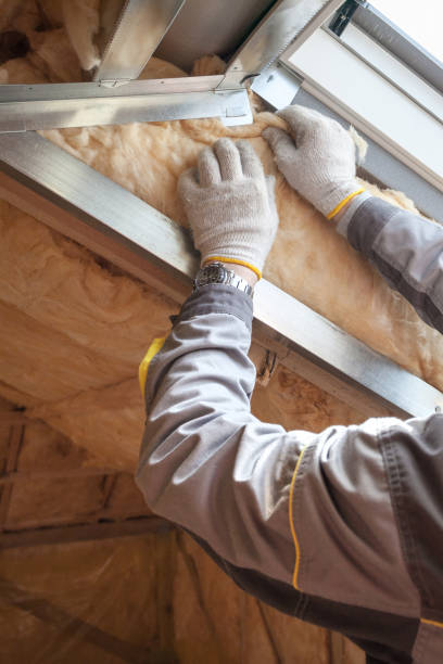 Best Insulation Maintenance and Repair in Cloverport, KY