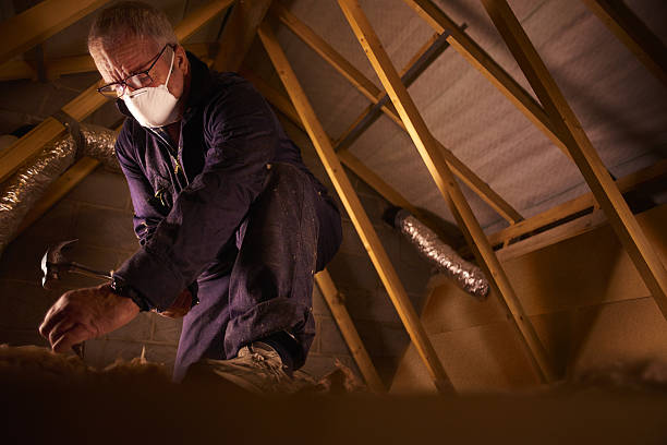 Types of Insulation We Offer in Cloverport, KY