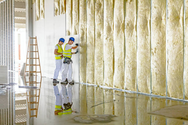 Best Cellulose Insulation in Cloverport, KY